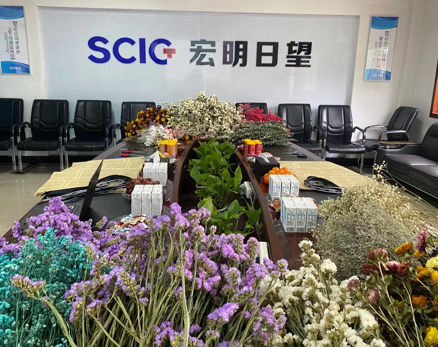 乐动·体育（中国）官方网站,宏明日望,株洲电子科技,湖南电容器,株洲电容器,电容器